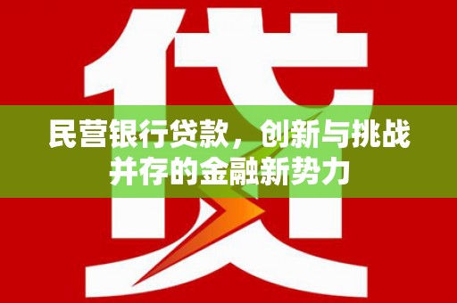 淮上民营银行贷款，创新与挑战并存的金融新势力