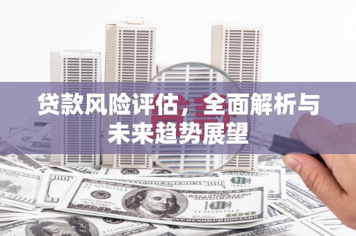 淮上贷款风险评估，全面解析与未来趋势展望