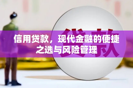 淮上信用贷款，现代金融的便捷之选与风险管理