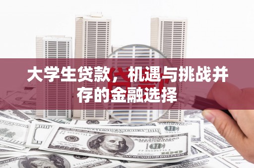 淮上大学生贷款，机遇与挑战并存的金融选择
