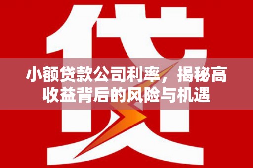 淮上小额贷款公司利率，揭秘高收益背后的风险与机遇