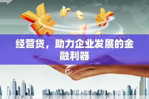 淮上经营贷，助力企业发展的金融利器