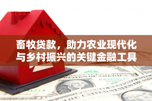 淮上畜牧贷款，助力农业现代化与乡村振兴的关键金融工具