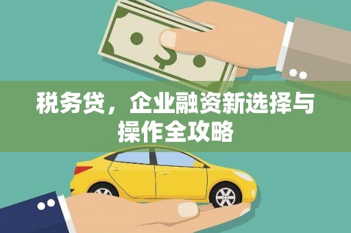 淮上税务贷，企业融资新选择与操作全攻略
