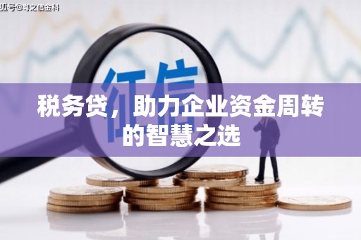 淮上税务贷，助力企业资金周转的智慧之选