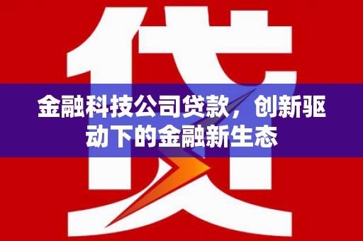 淮上金融科技公司贷款，创新驱动下的金融新生态
