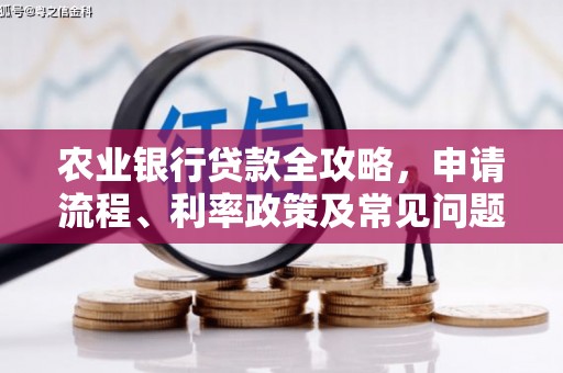 淮上农业银行贷款全攻略，申请流程、利率政策及常见问题解析