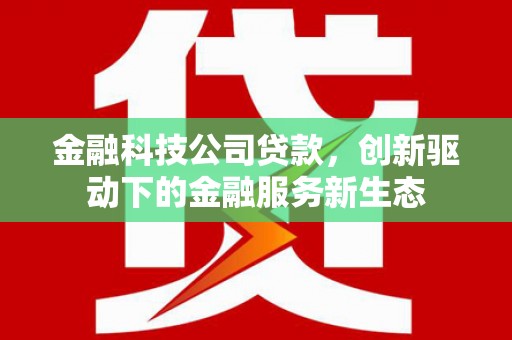 淮上金融科技公司贷款，创新驱动下的金融服务新生态