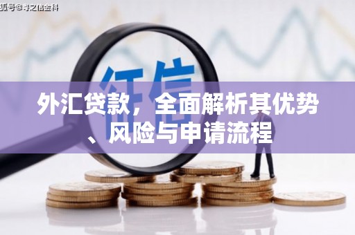 淮上外汇贷款，全面解析其优势、风险与申请流程