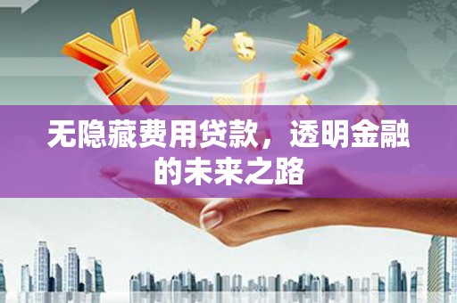 淮上无隐藏费用贷款，透明金融的未来之路