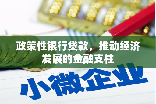 淮上政策性银行贷款，推动经济发展的金融支柱