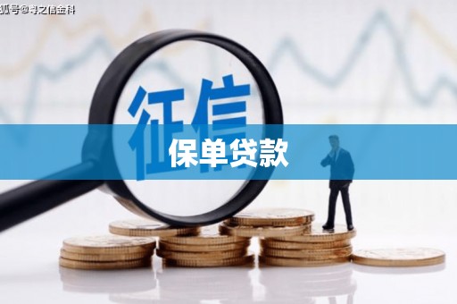 淮上保单贷款