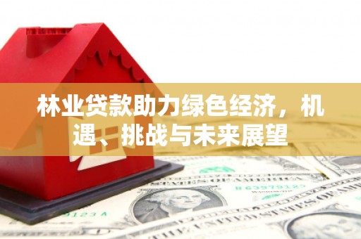 淮上林业贷款助力绿色经济，机遇、挑战与未来展望