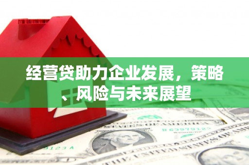 淮上经营贷助力企业发展，策略、风险与未来展望