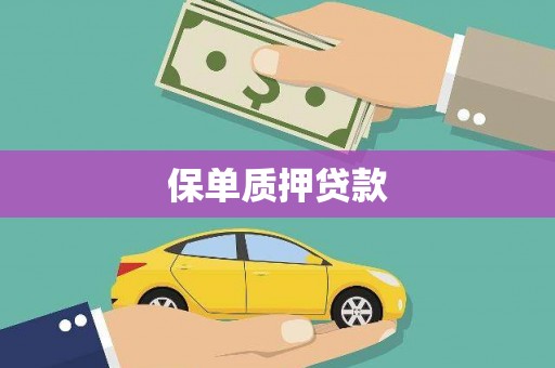 淮上保单质押贷款