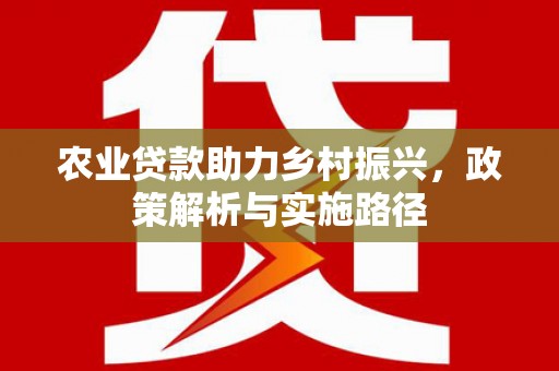 淮上农业贷款助力乡村振兴，政策解析与实施路径