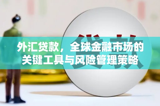 淮上外汇贷款，全球金融市场的关键工具与风险管理策略