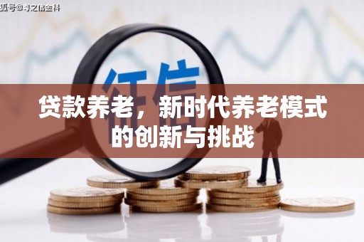 淮上贷款养老，新时代养老模式的创新与挑战