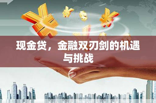 淮上现金贷，金融双刃剑的机遇与挑战