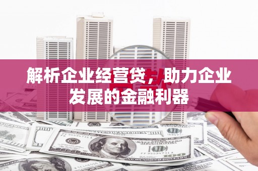 淮上解析企业经营贷，助力企业发展的金融利器