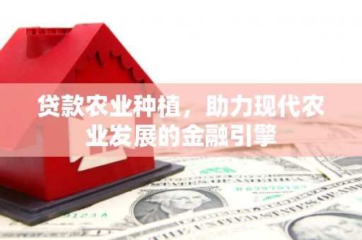淮上贷款农业种植，助力现代农业发展的金融引擎