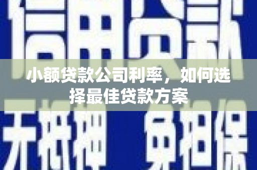 淮上小额贷款公司利率，如何选择最佳贷款方案