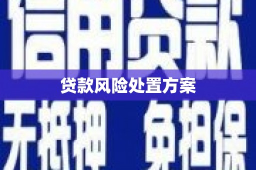 淮上贷款风险处置方案