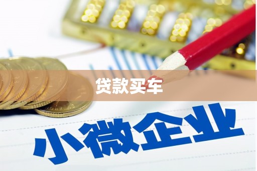 淮上贷款买车