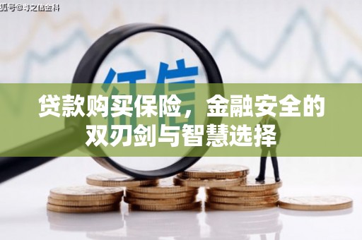 淮上贷款购买保险，金融安全的双刃剑与智慧选择