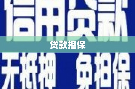 淮上贷款担保