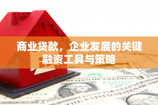 淮上商业贷款，企业发展的关键融资工具与策略