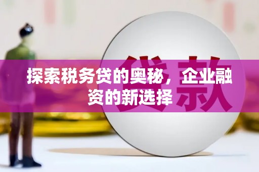 淮上探索税务贷的奥秘，企业融资的新选择