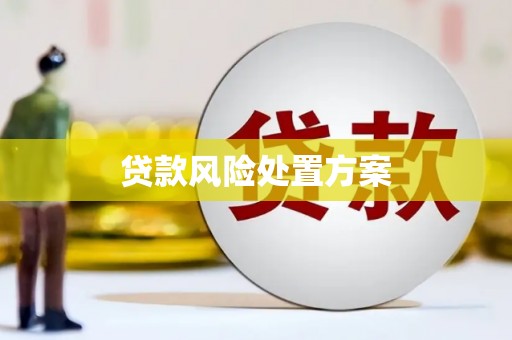 淮上贷款风险处置方案