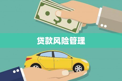 淮上贷款风险管理