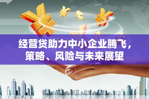 淮上经营贷助力中小企业腾飞，策略、风险与未来展望
