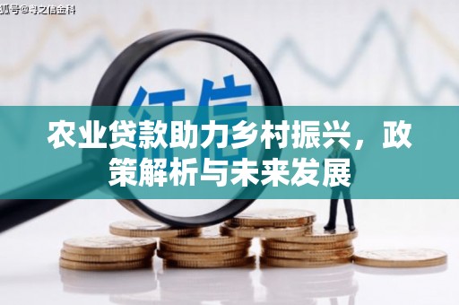 淮上农业贷款助力乡村振兴，政策解析与未来发展
