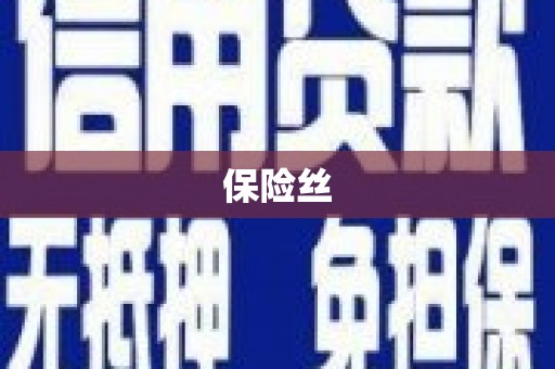 淮上保险丝