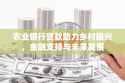淮上农业银行贷款助力乡村振兴，金融支持与未来发展