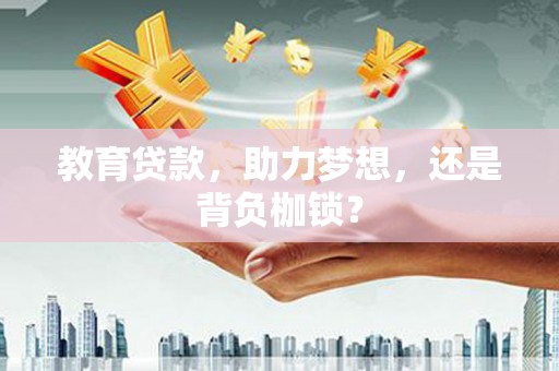 淮上教育贷款，助力梦想，还是背负枷锁？