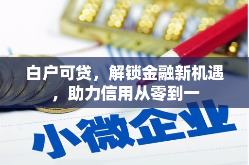 淮上白户可贷，解锁金融新机遇，助力信用从零到一