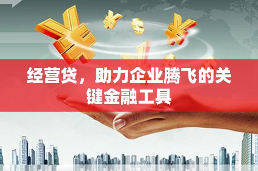 淮上经营贷，助力企业腾飞的关键金融工具