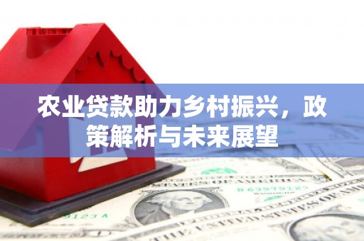 淮上农业贷款助力乡村振兴，政策解析与未来展望