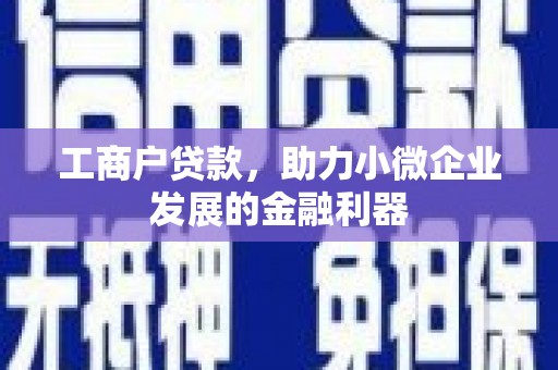 淮上工商户贷款，助力小微企业发展的金融利器