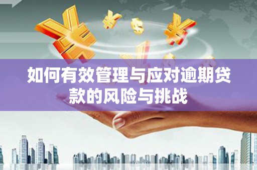 淮上如何有效管理与应对逾期贷款的风险与挑战