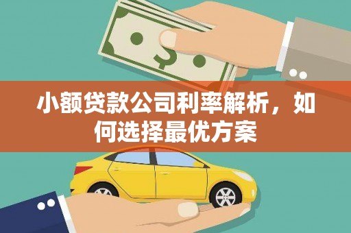 淮上小额贷款公司利率解析，如何选择最优方案