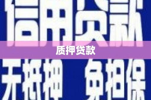 淮上质押贷款