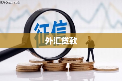 淮上外汇贷款