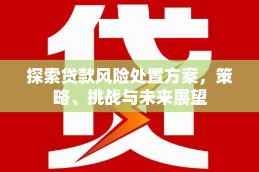 淮上探索贷款风险处置方案，策略、挑战与未来展望