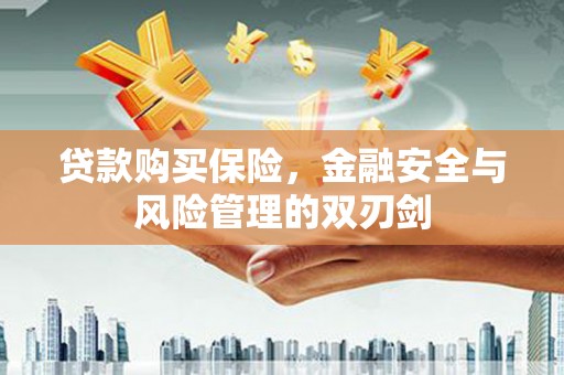 淮上贷款购买保险，金融安全与风险管理的双刃剑
