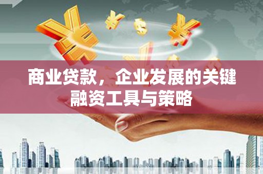 淮上商业贷款，企业发展的关键融资工具与策略